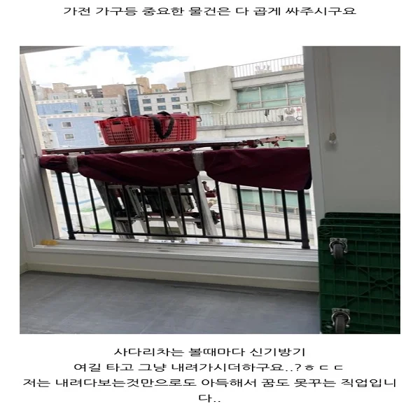 이미지 10
