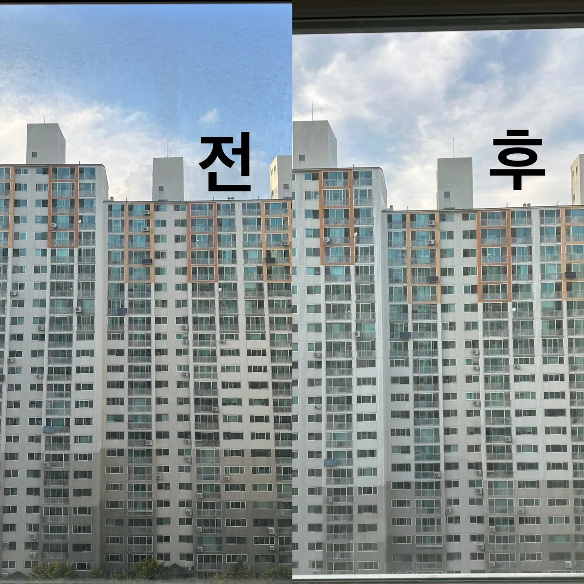 이미지 8