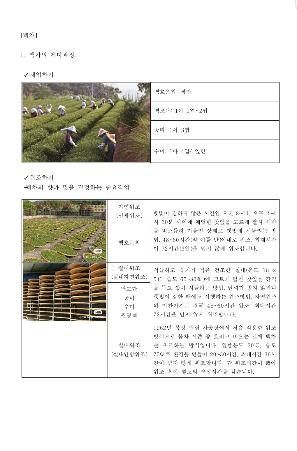 이미지 3