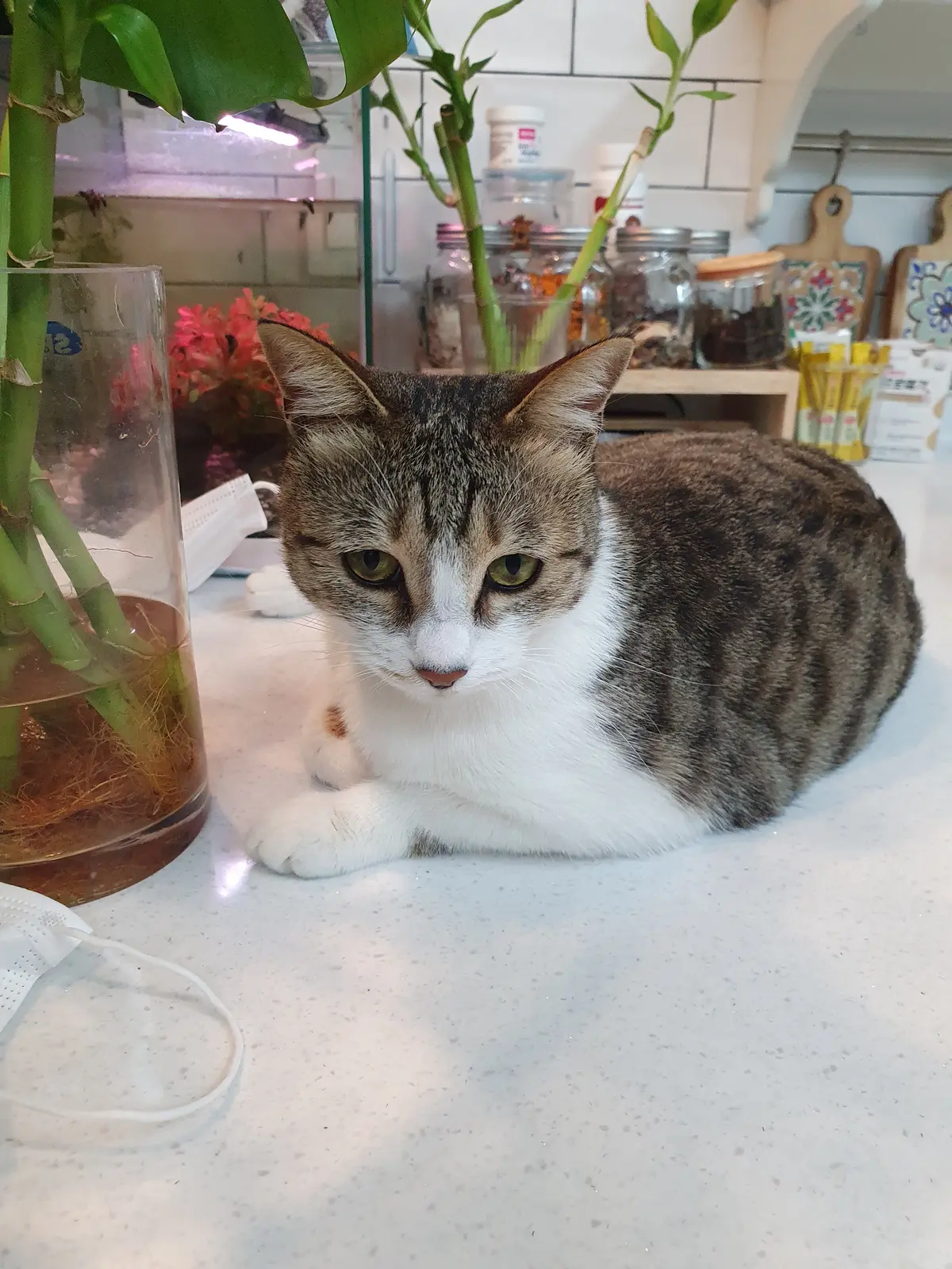 이미지 5