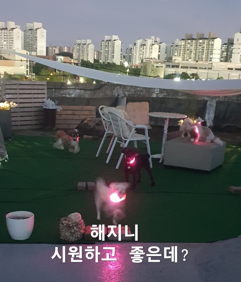 이미지 8