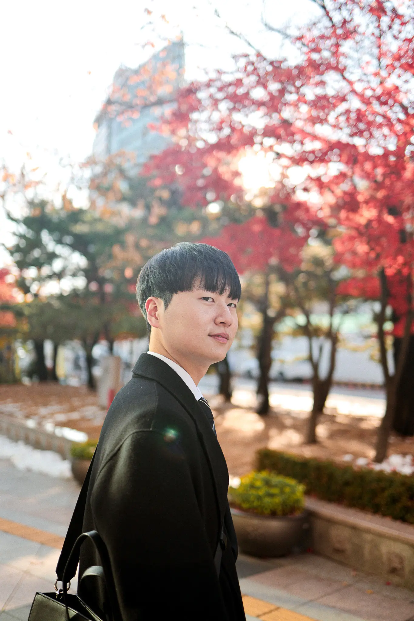 이미지 18