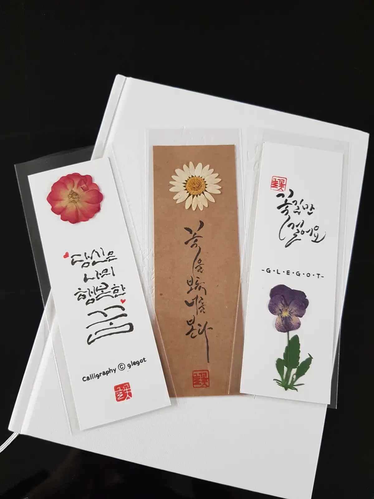 이미지 14