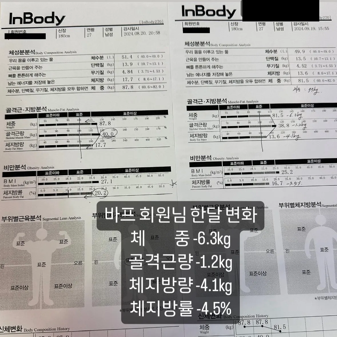 이미지 5