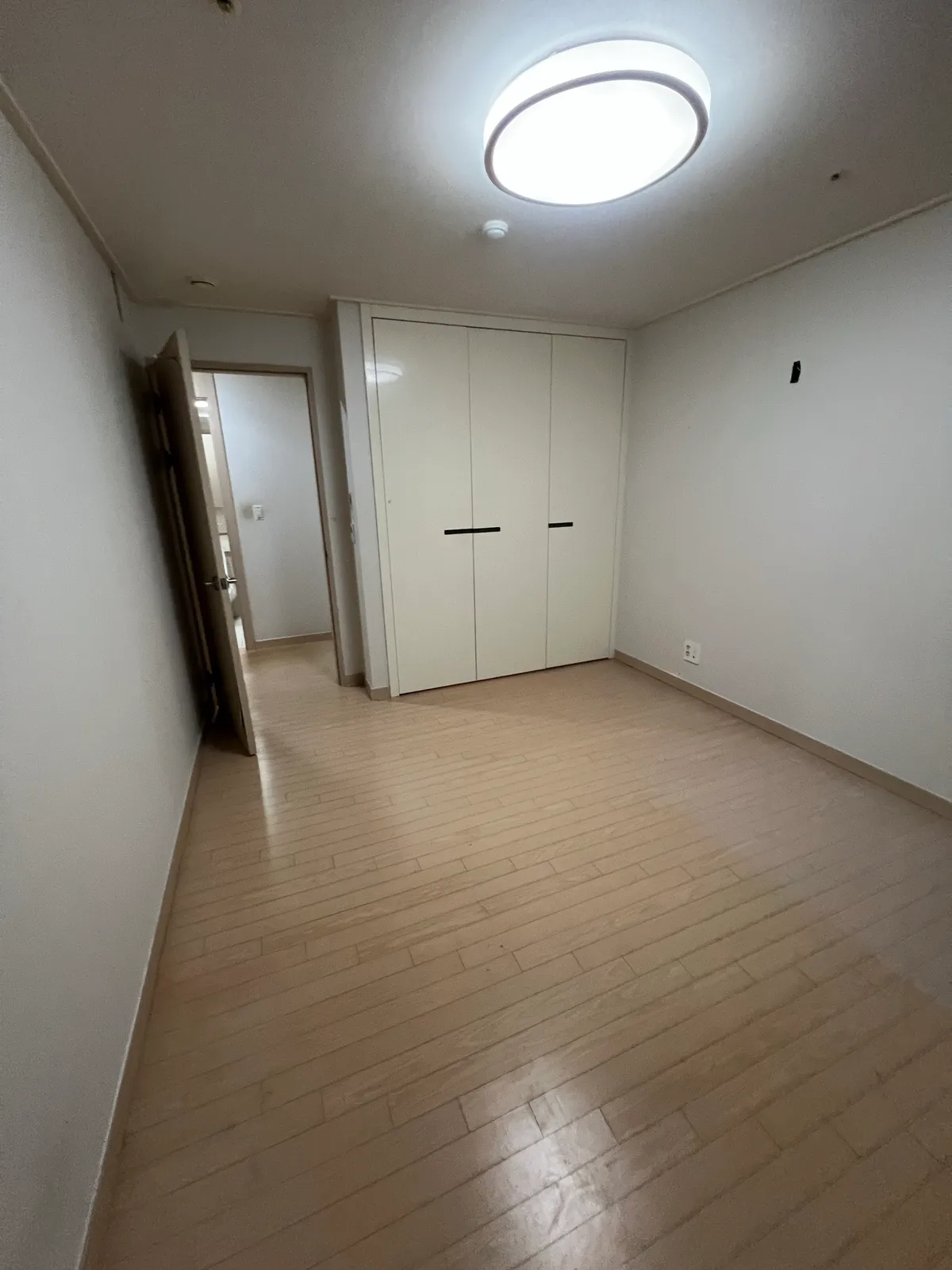 이미지 4