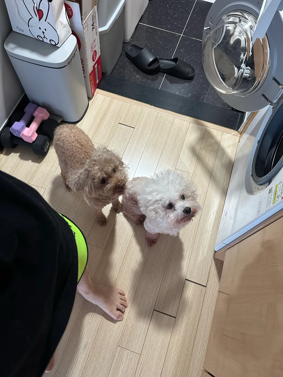 이미지 7