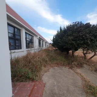 고흥군 풍양면 풍양초 고옥분교 850평 예초작업