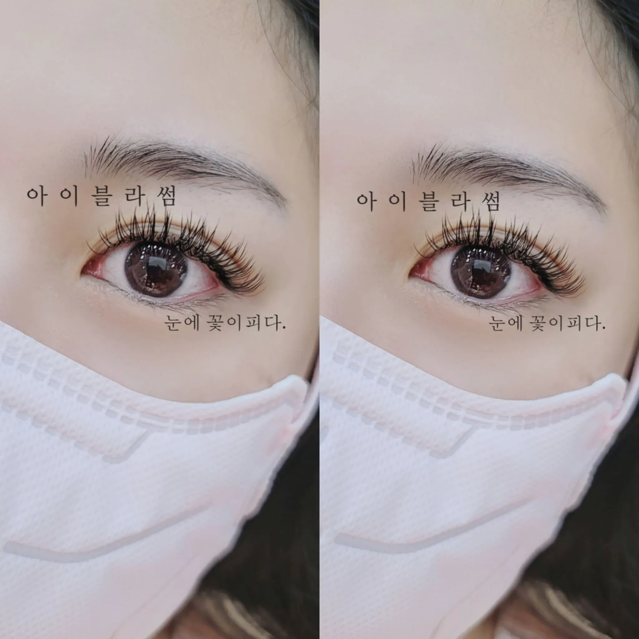 이미지 8