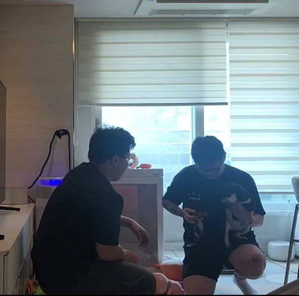 이미지 3