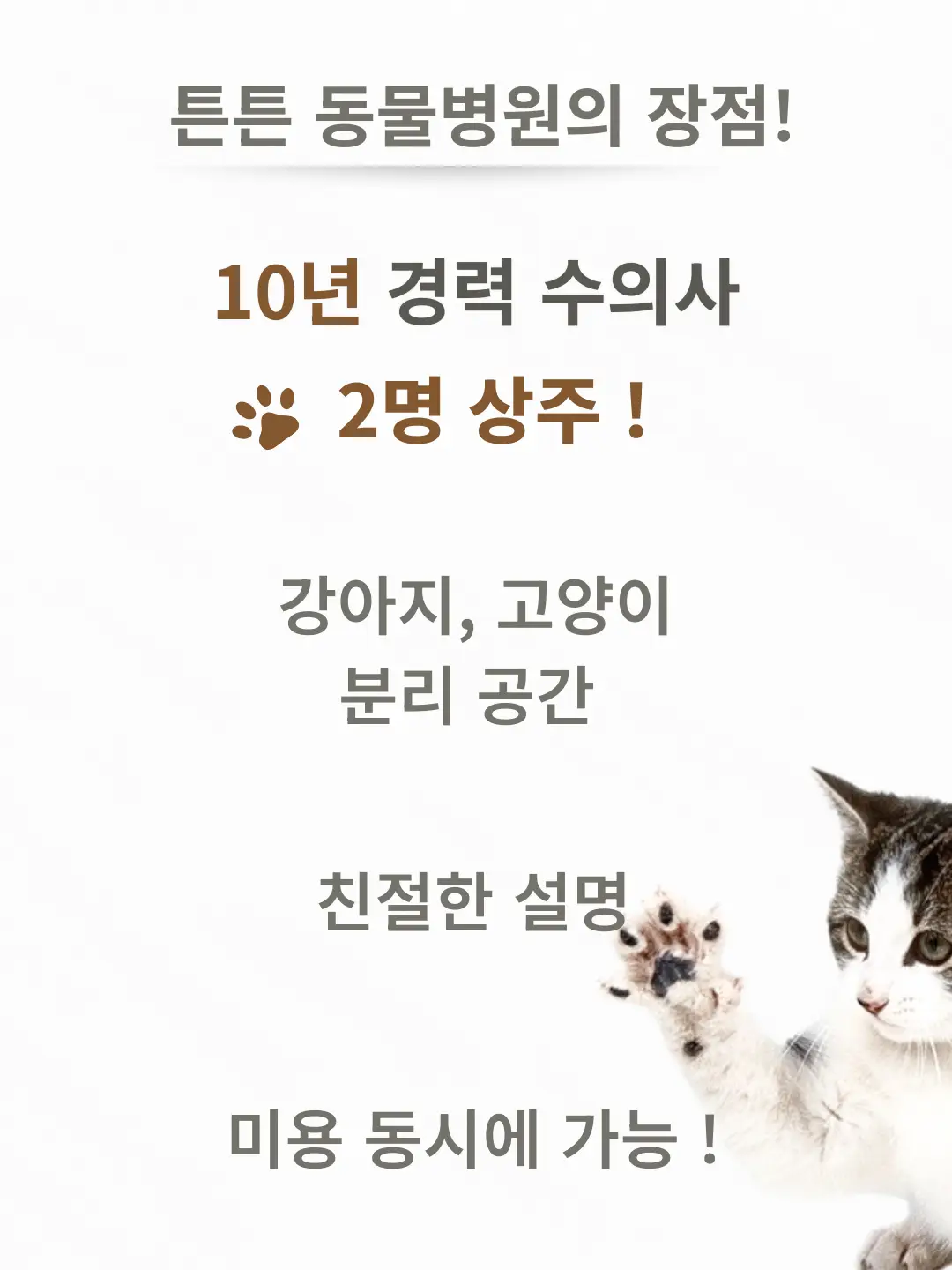 이미지 6