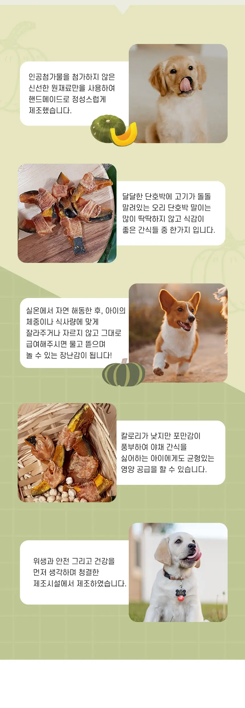 이미지 11
