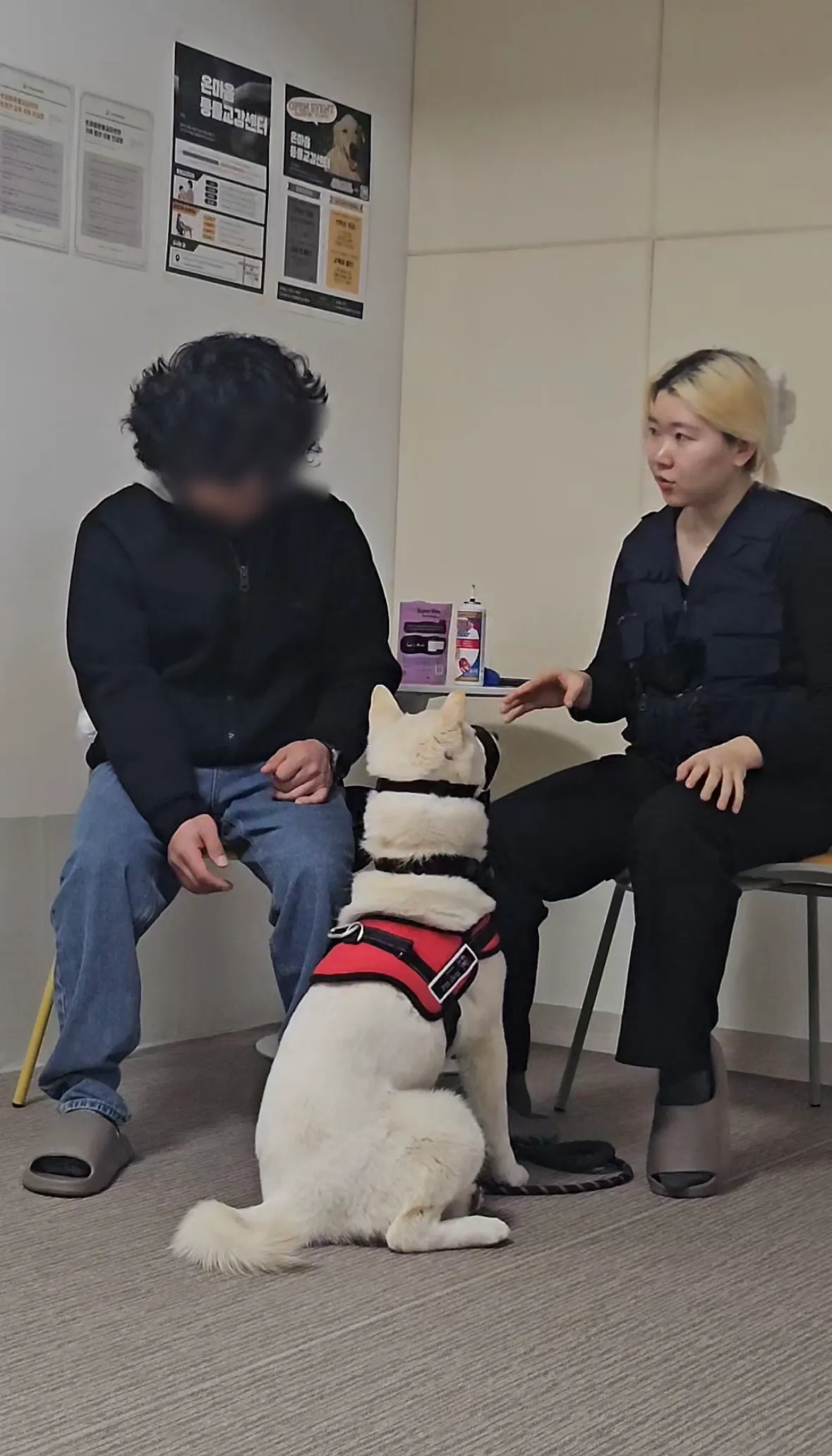 이미지 3