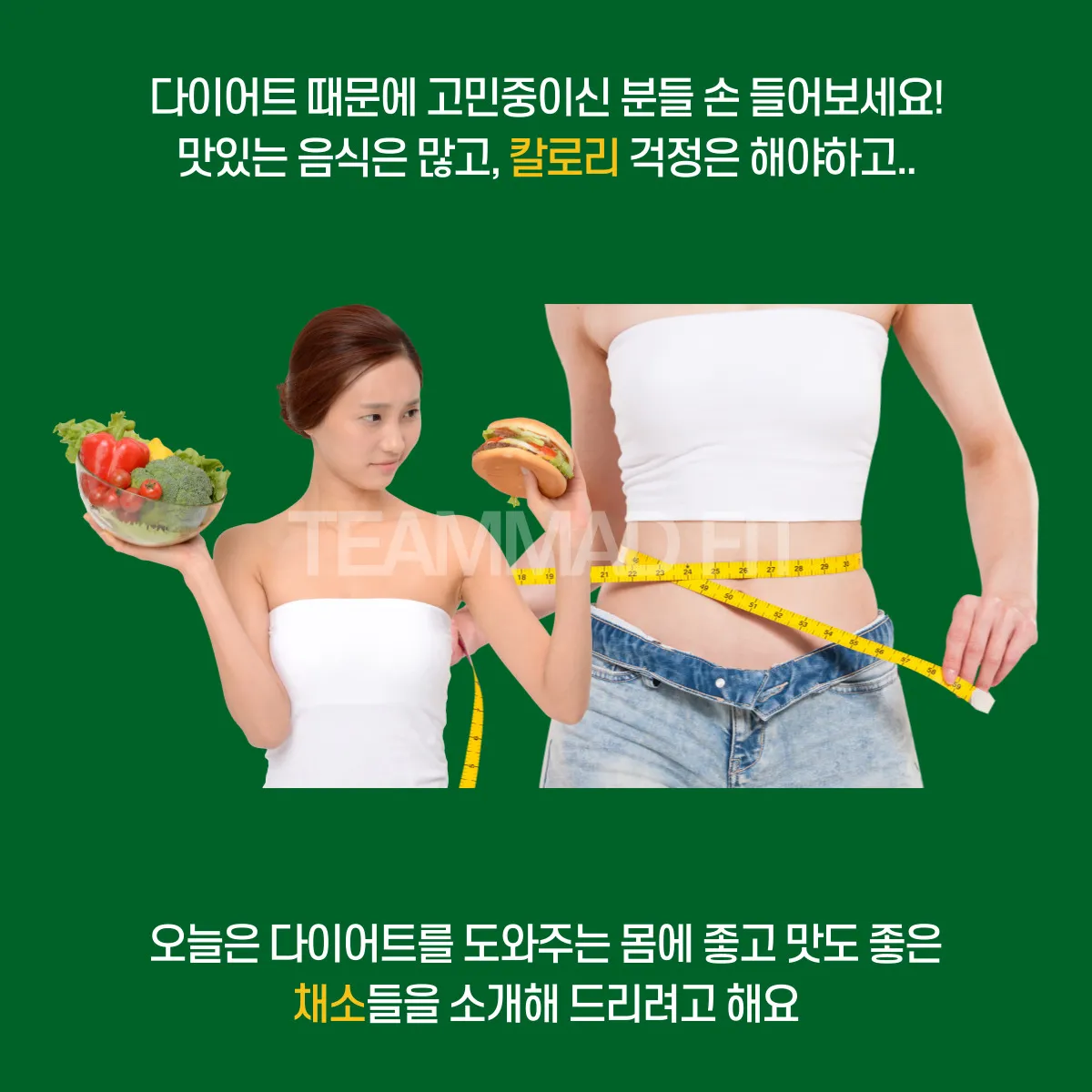 이미지 3