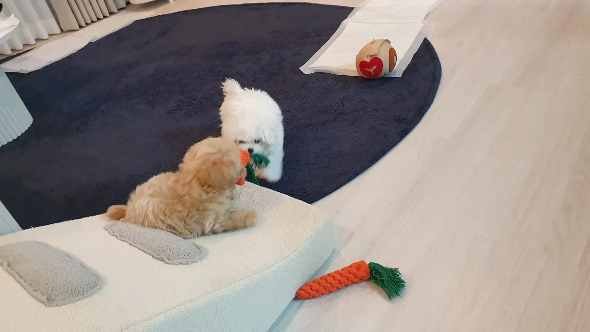 이미지 7