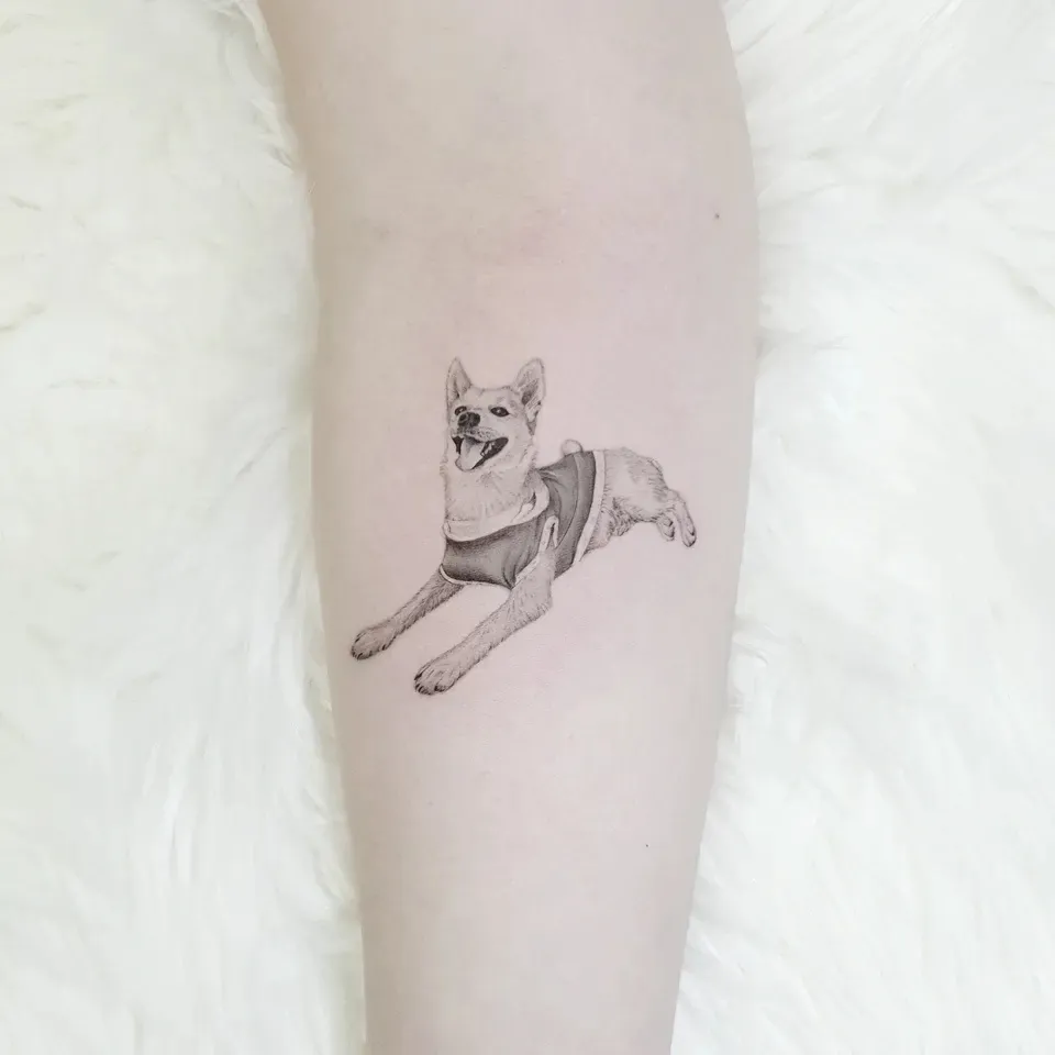 이미지 11