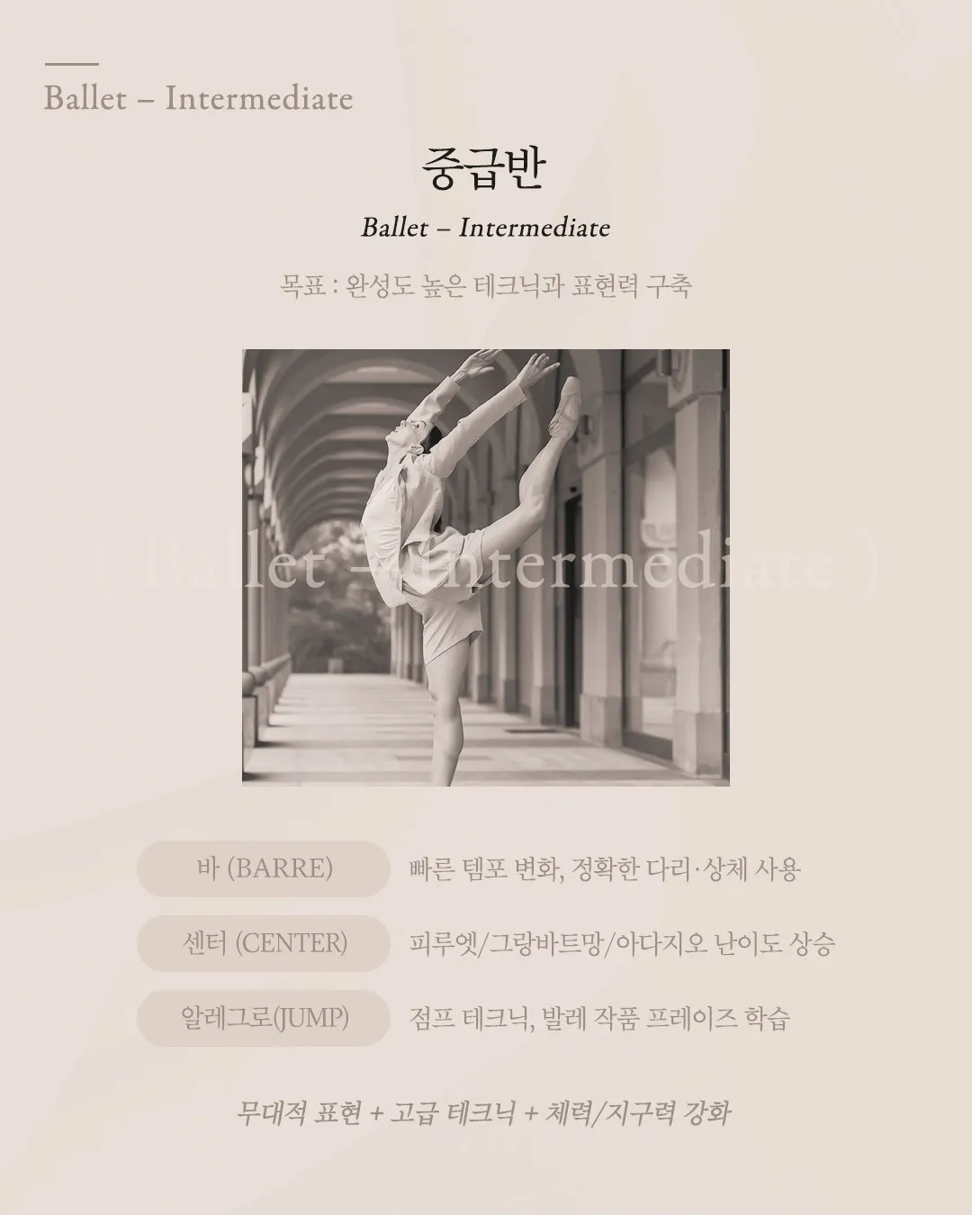 이미지 6