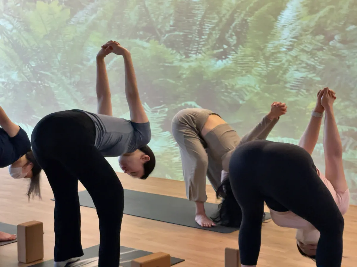이미지 9