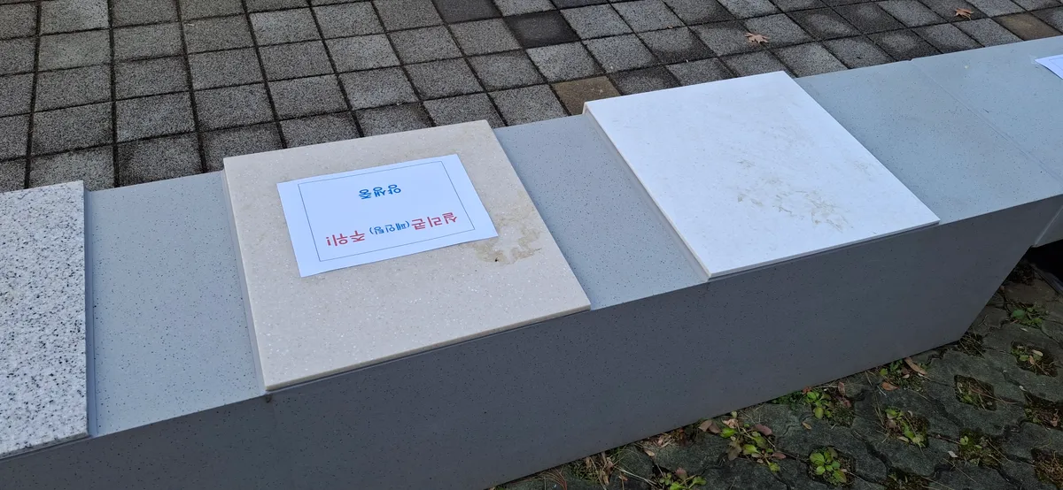 이미지 17