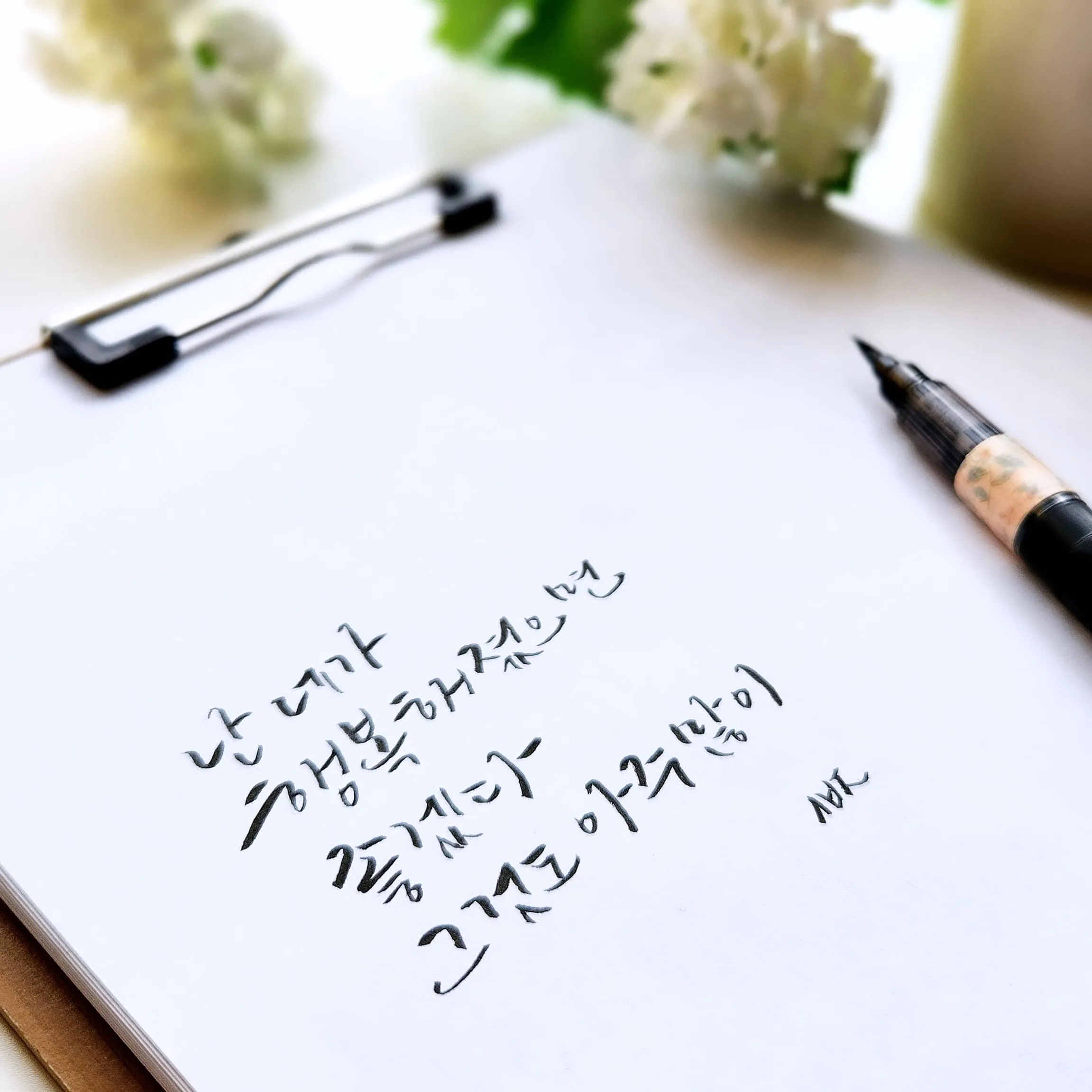 이미지 11