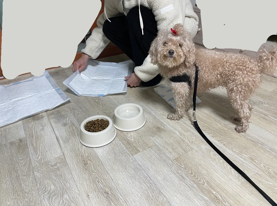 이미지 9