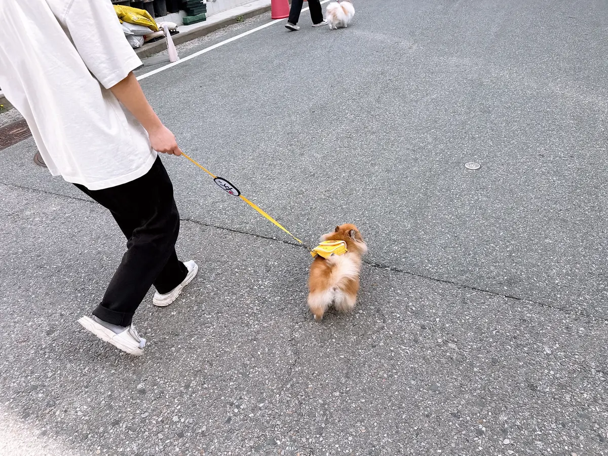 이미지 8