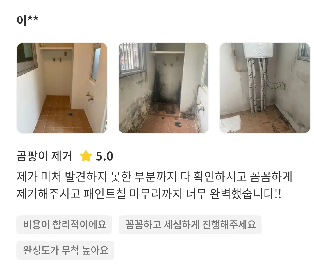 이미지 8