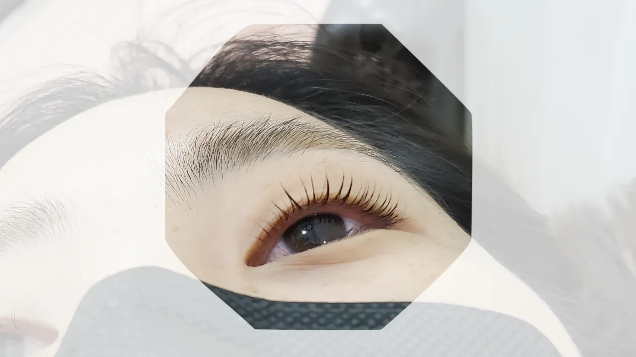 이미지 9