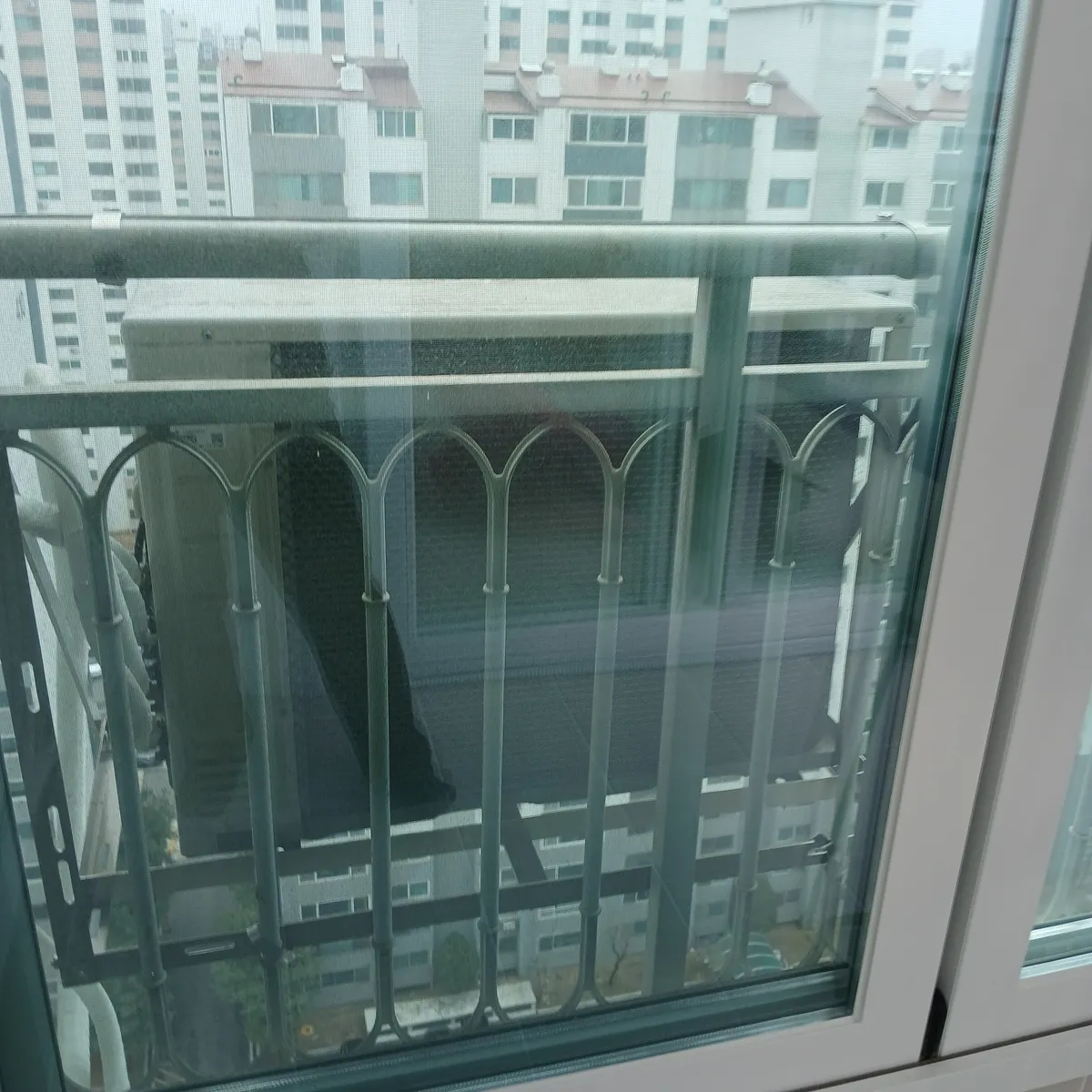 이미지 10
