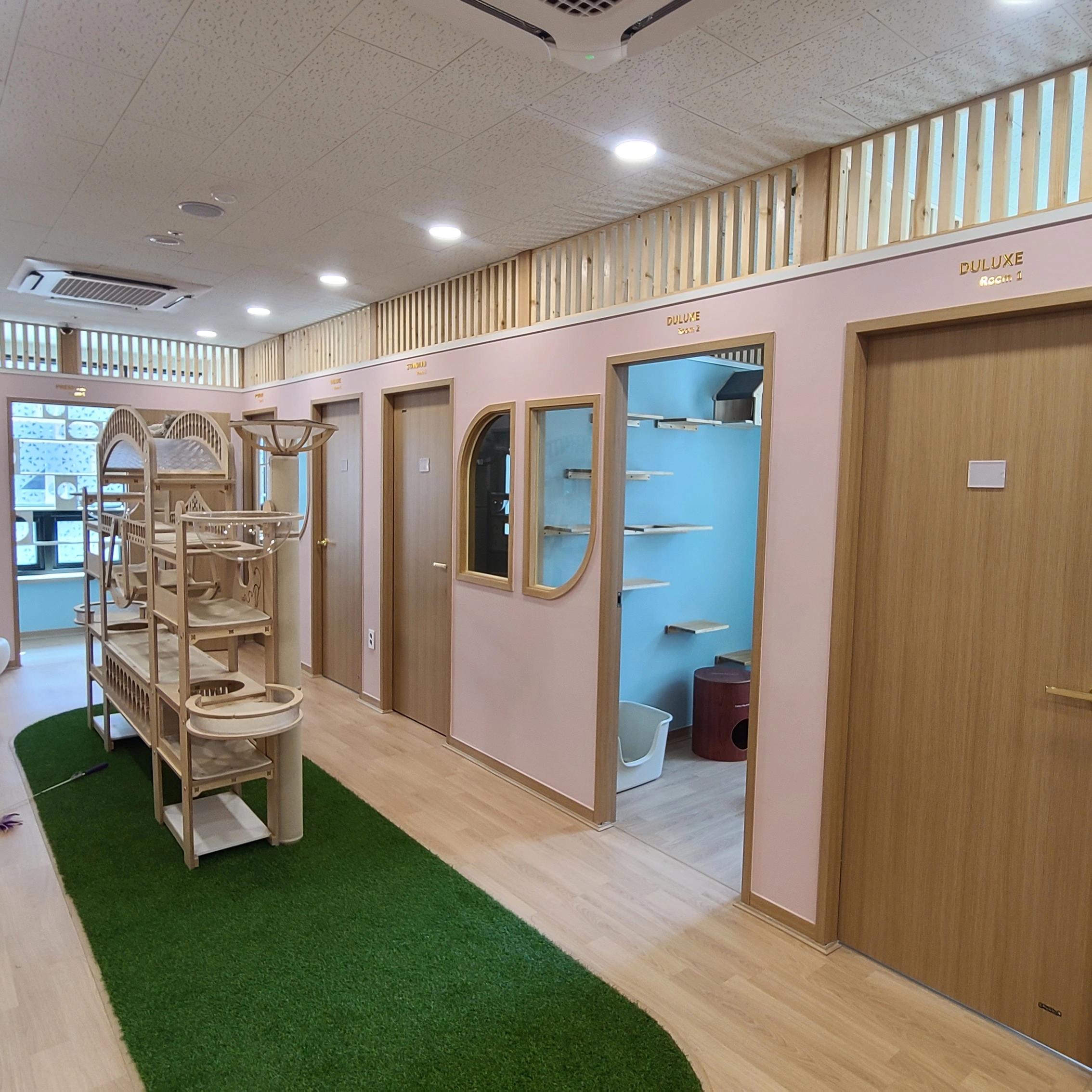 정읍 헤라 대표 이미지