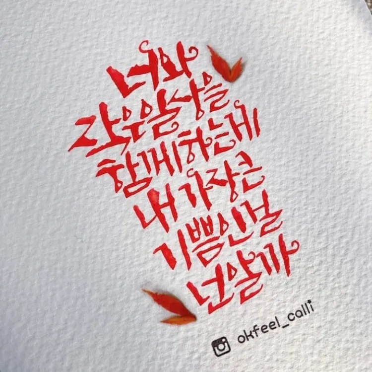 이미지 8
