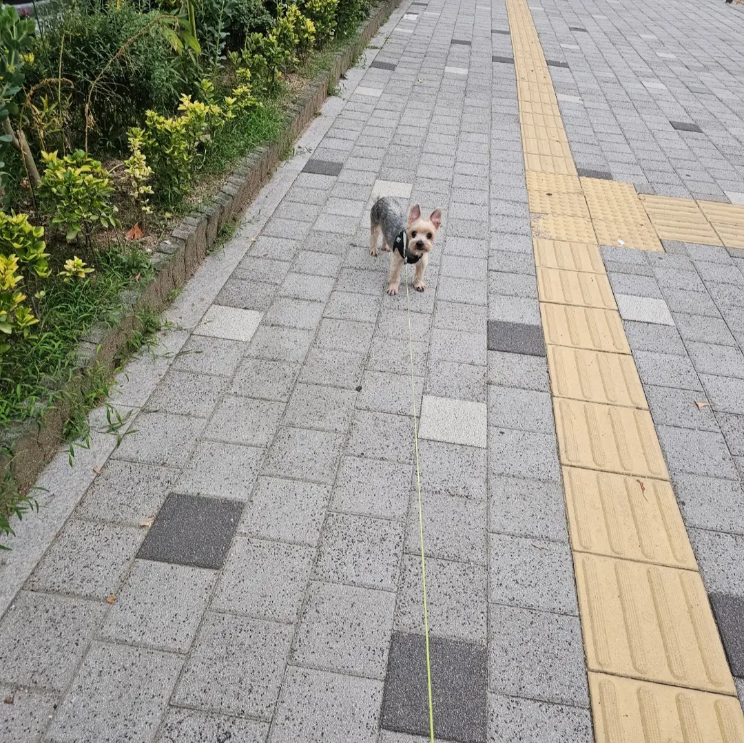 이미지 11
