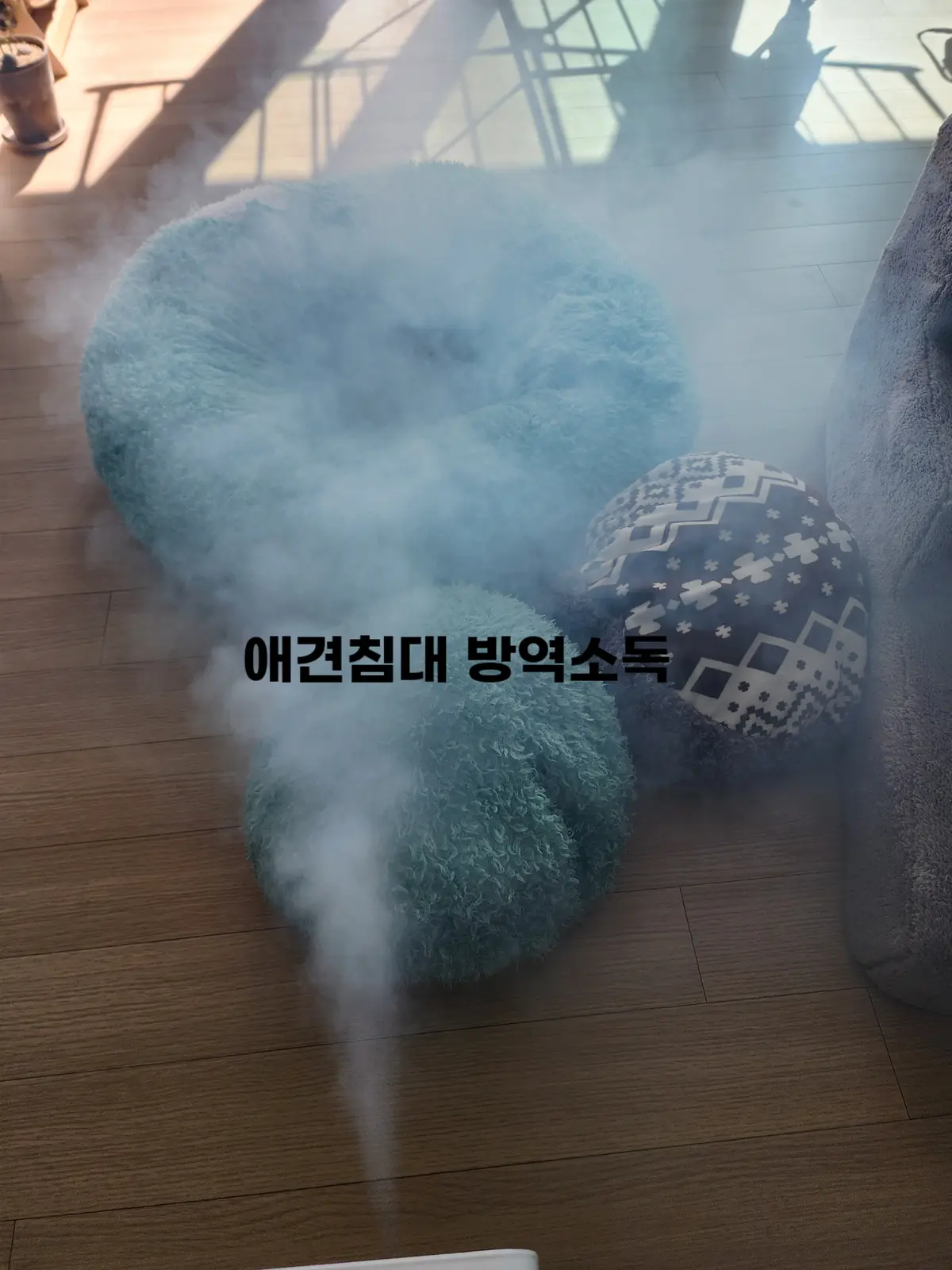 이미지 7