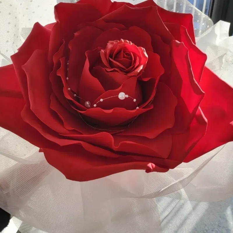 이미지 9