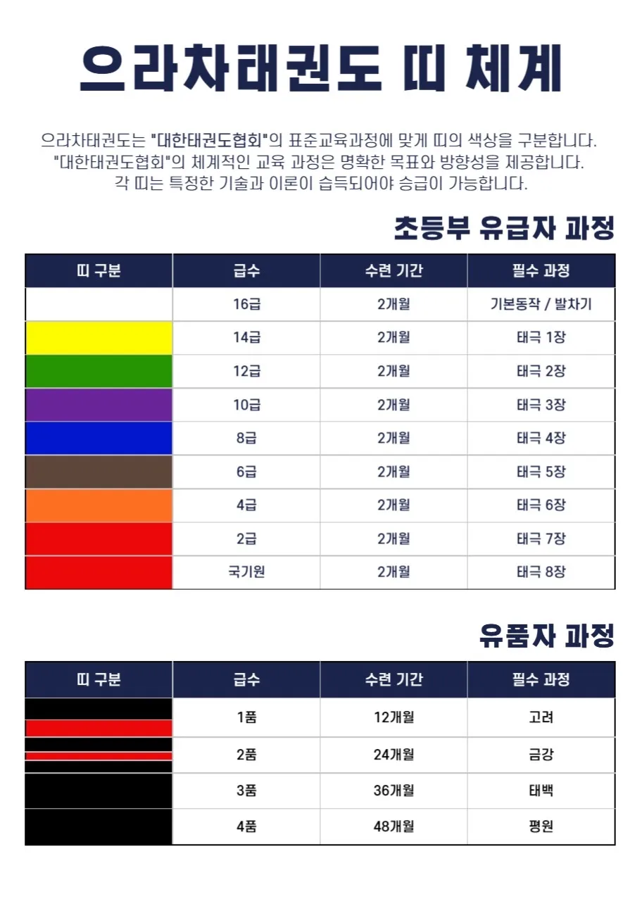 이미지 10