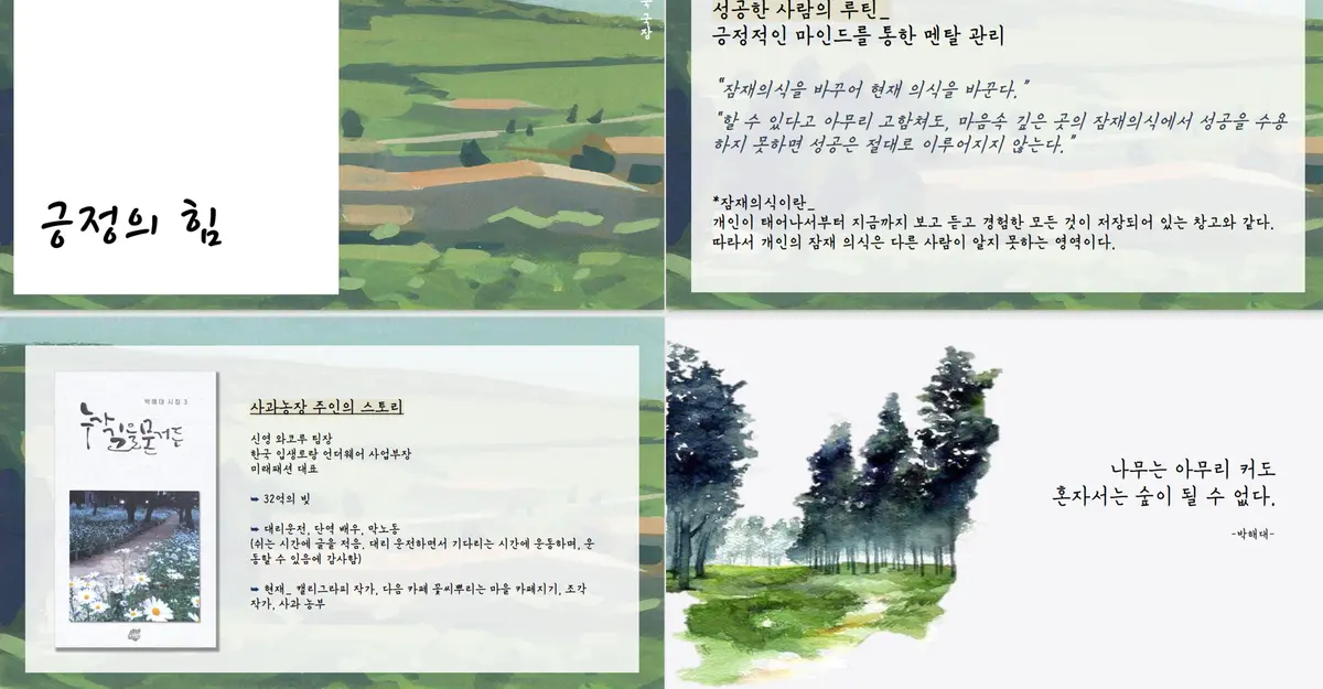 이미지 3