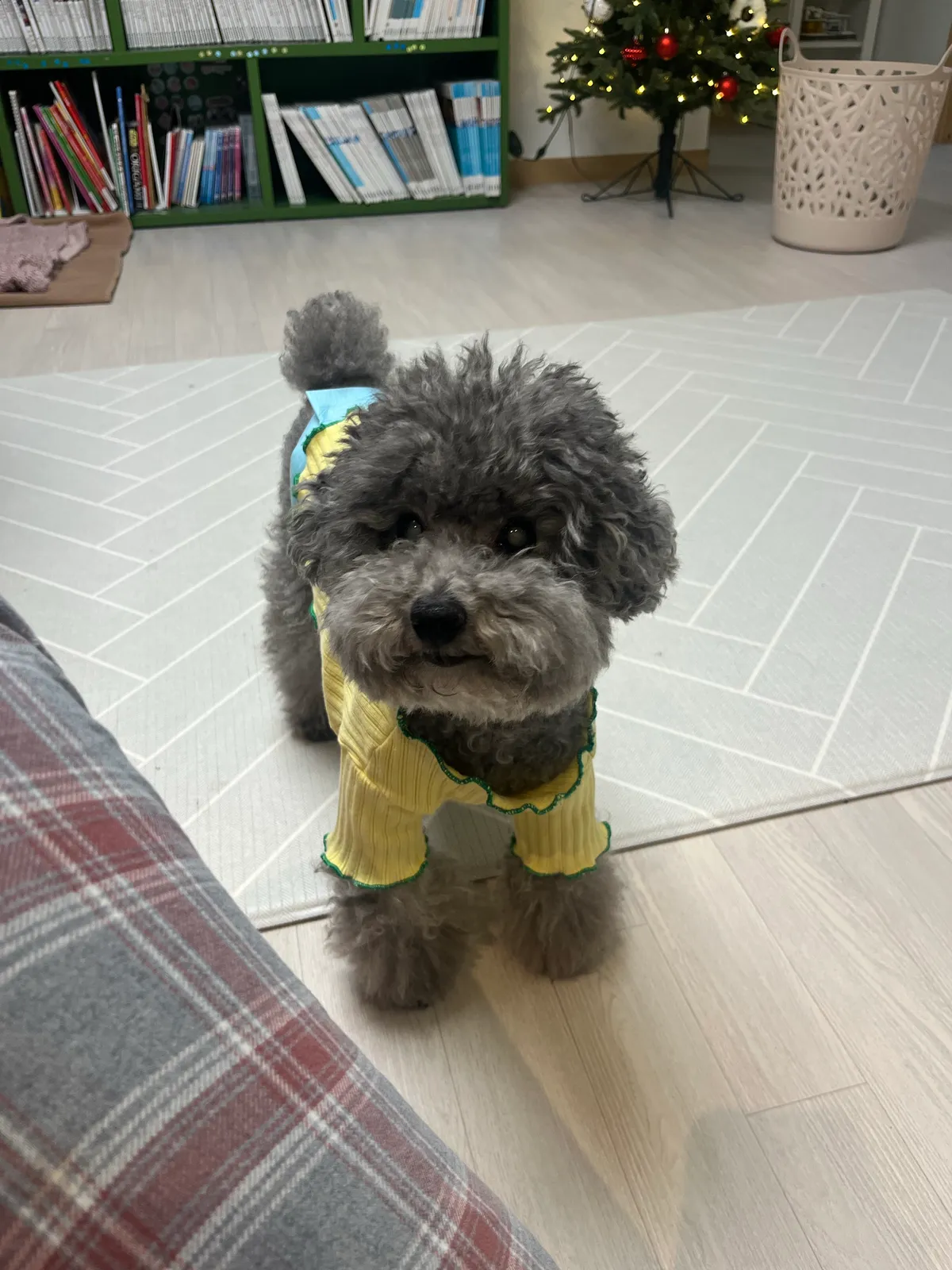 이미지 8