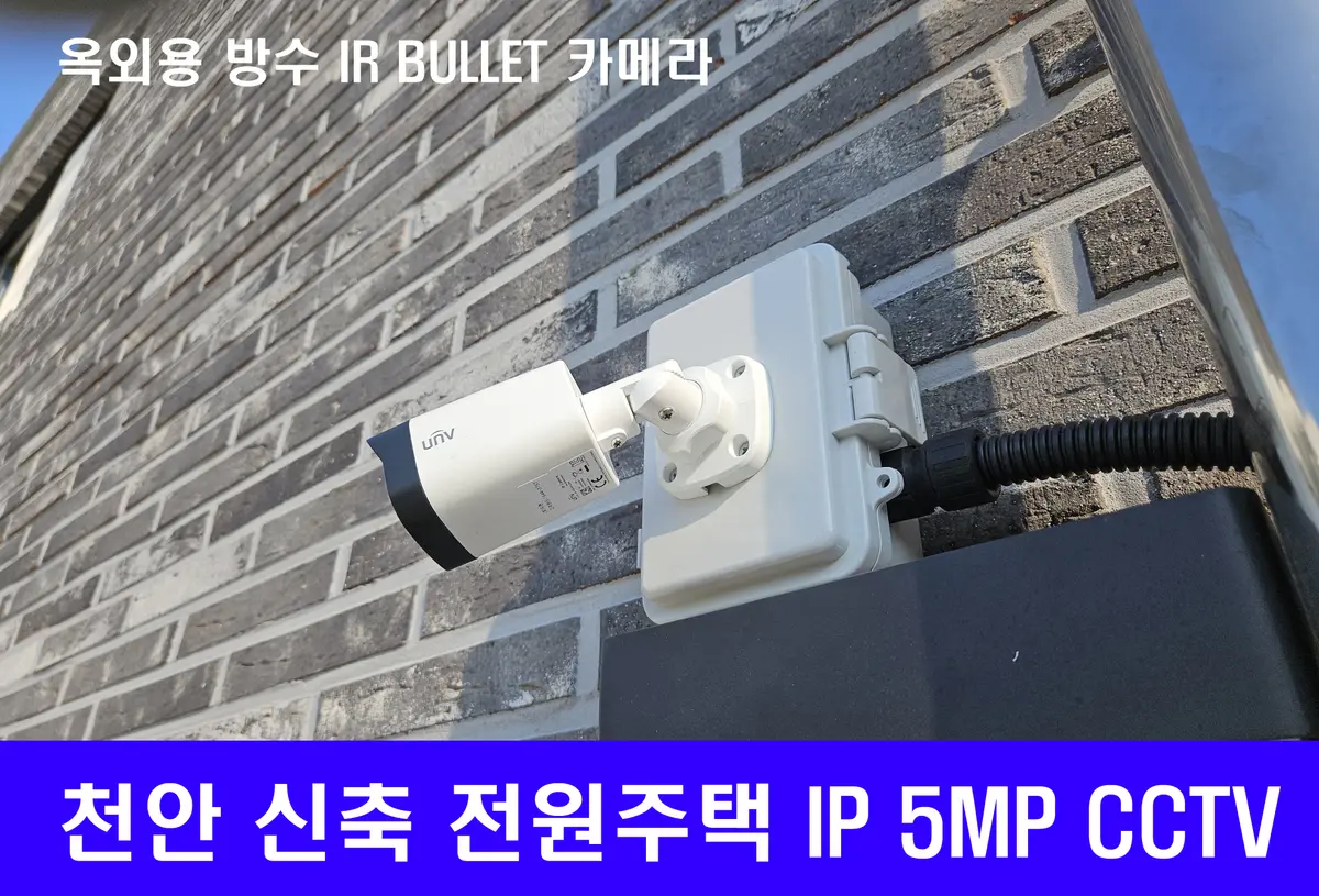 이미지 6
