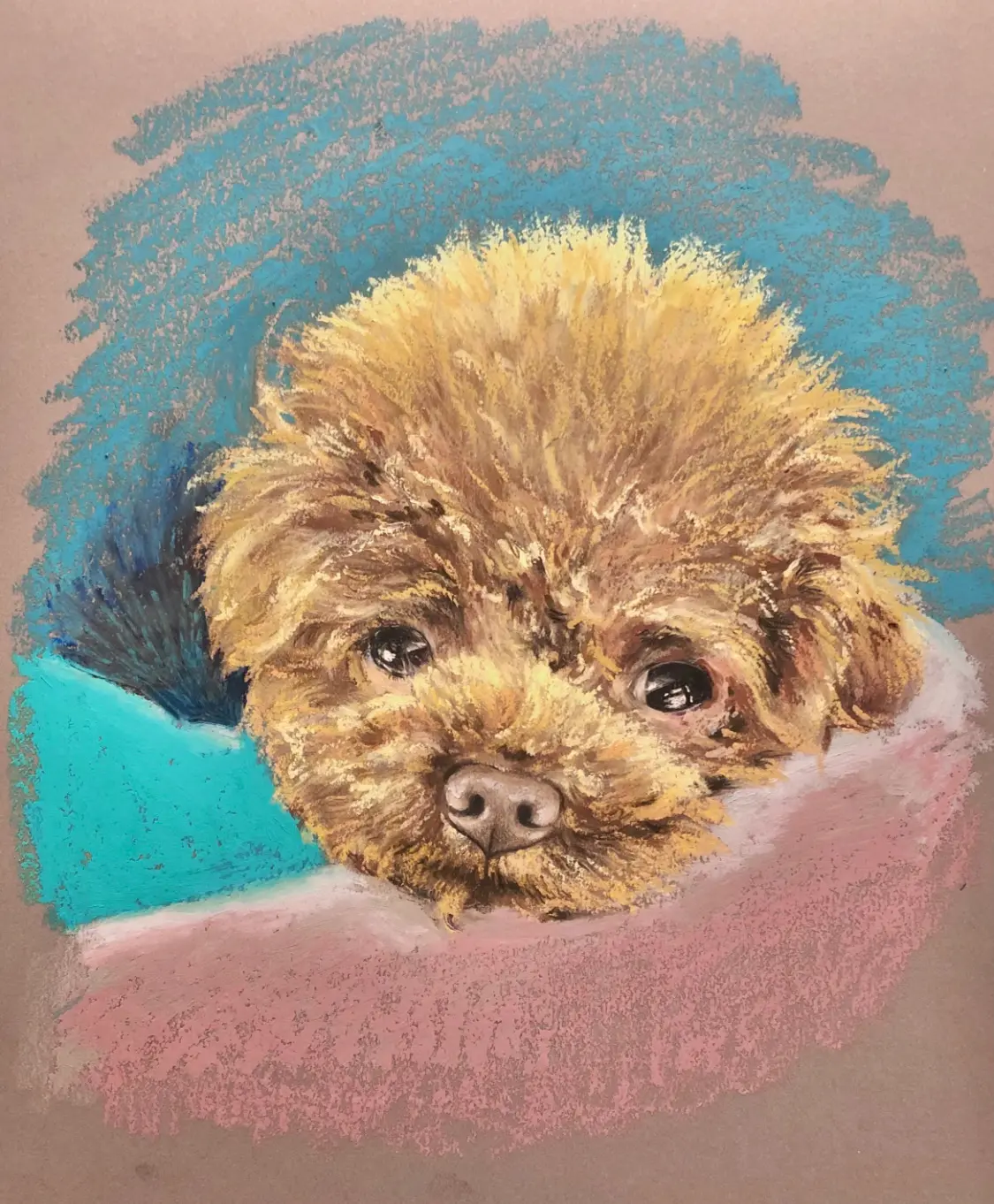 포트폴리오 이미지