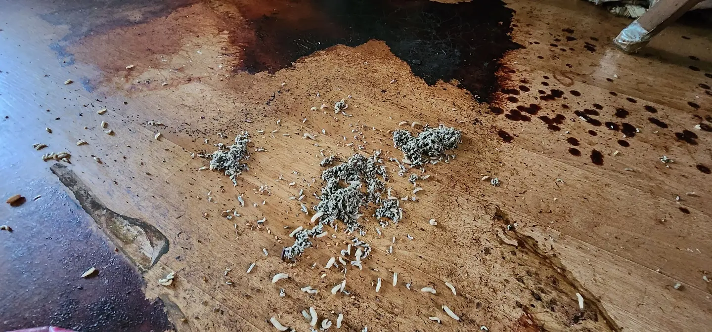 이미지 5