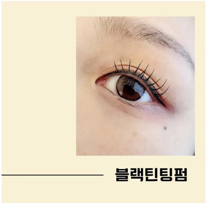 이미지 6