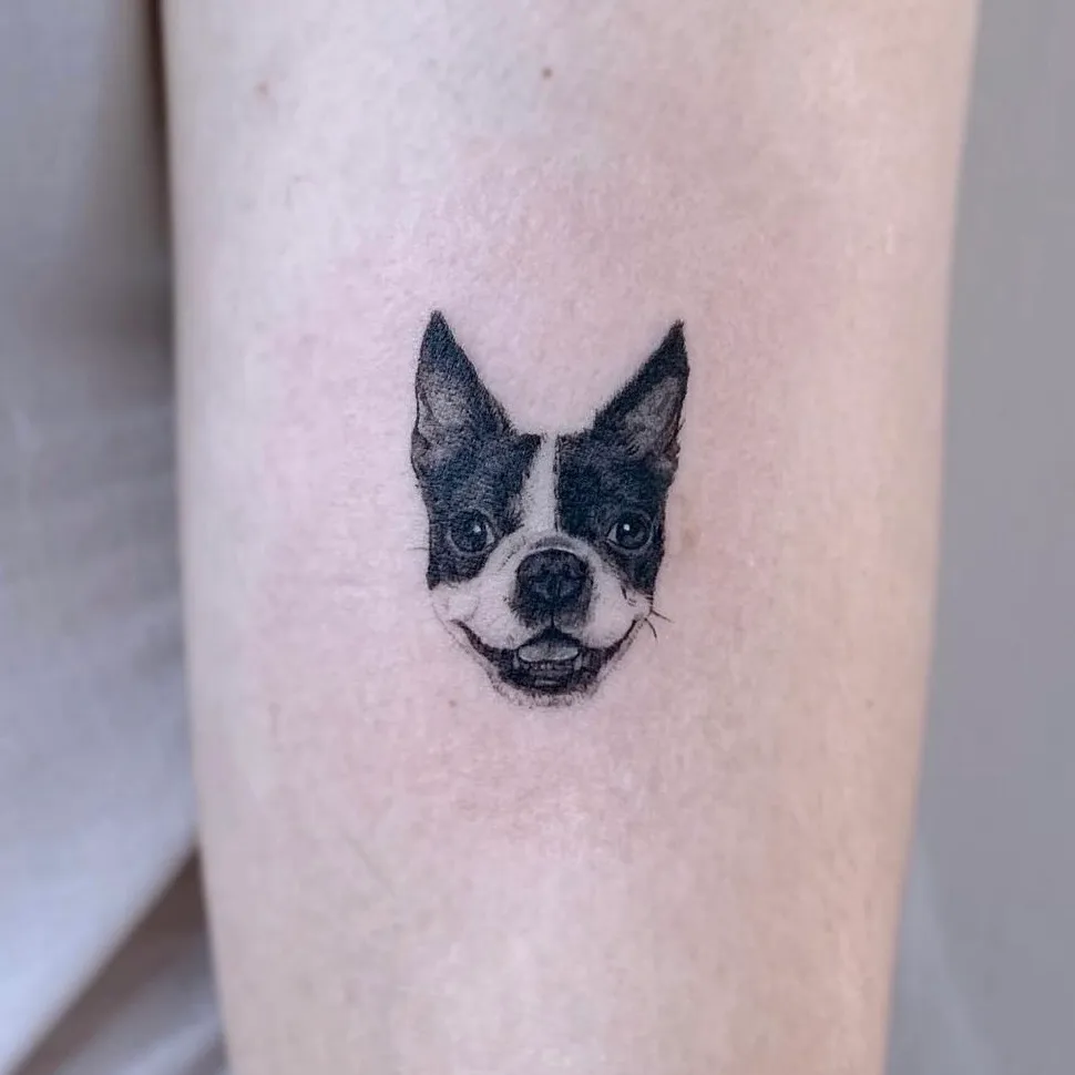 이미지 5