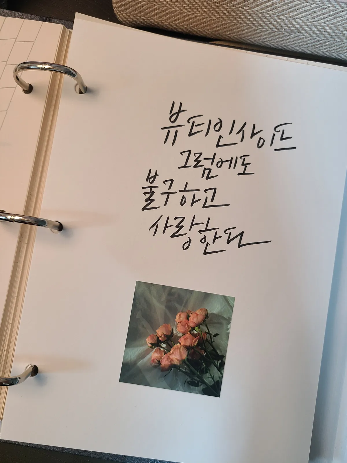 이미지 4