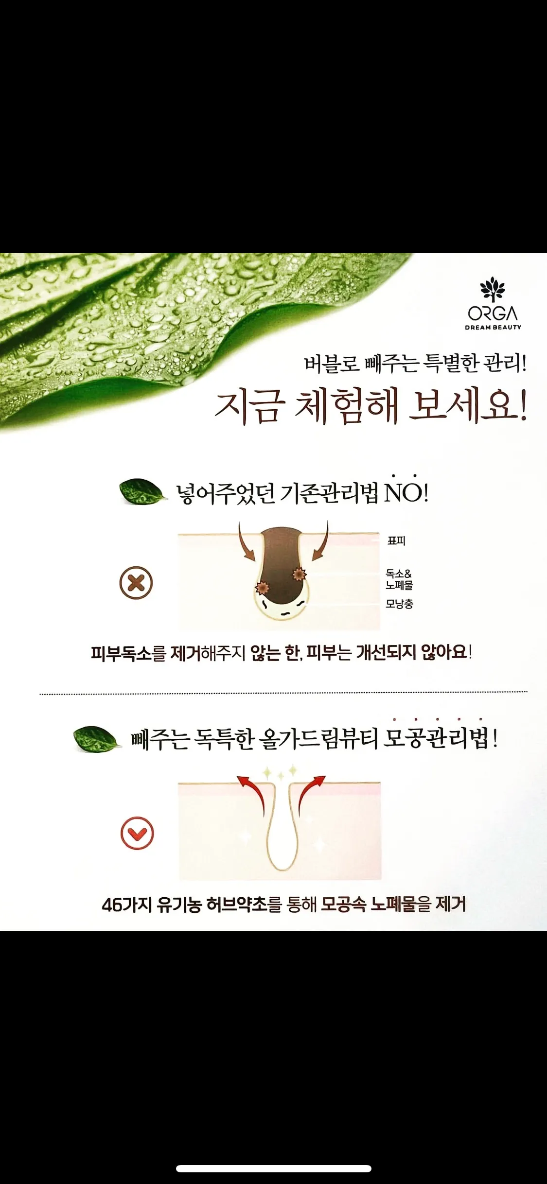 이미지 12