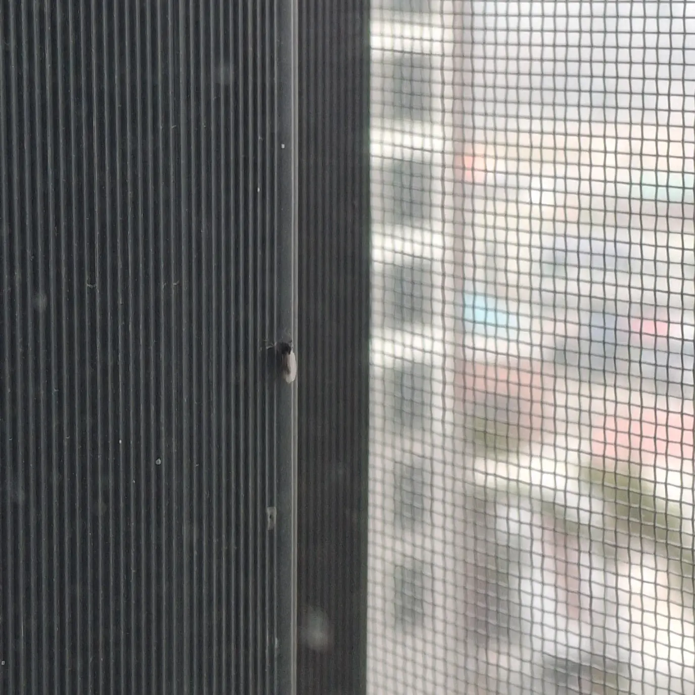 이미지 6