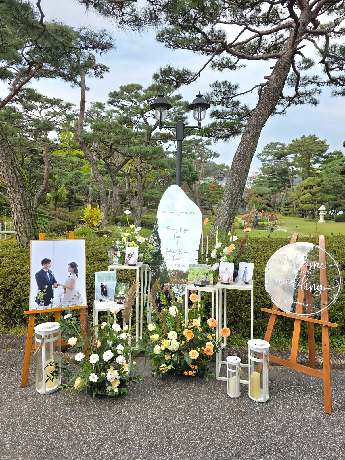 이미지 12