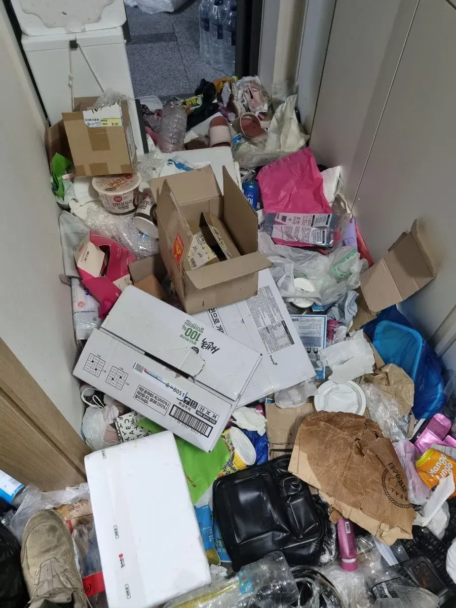 이미지 5