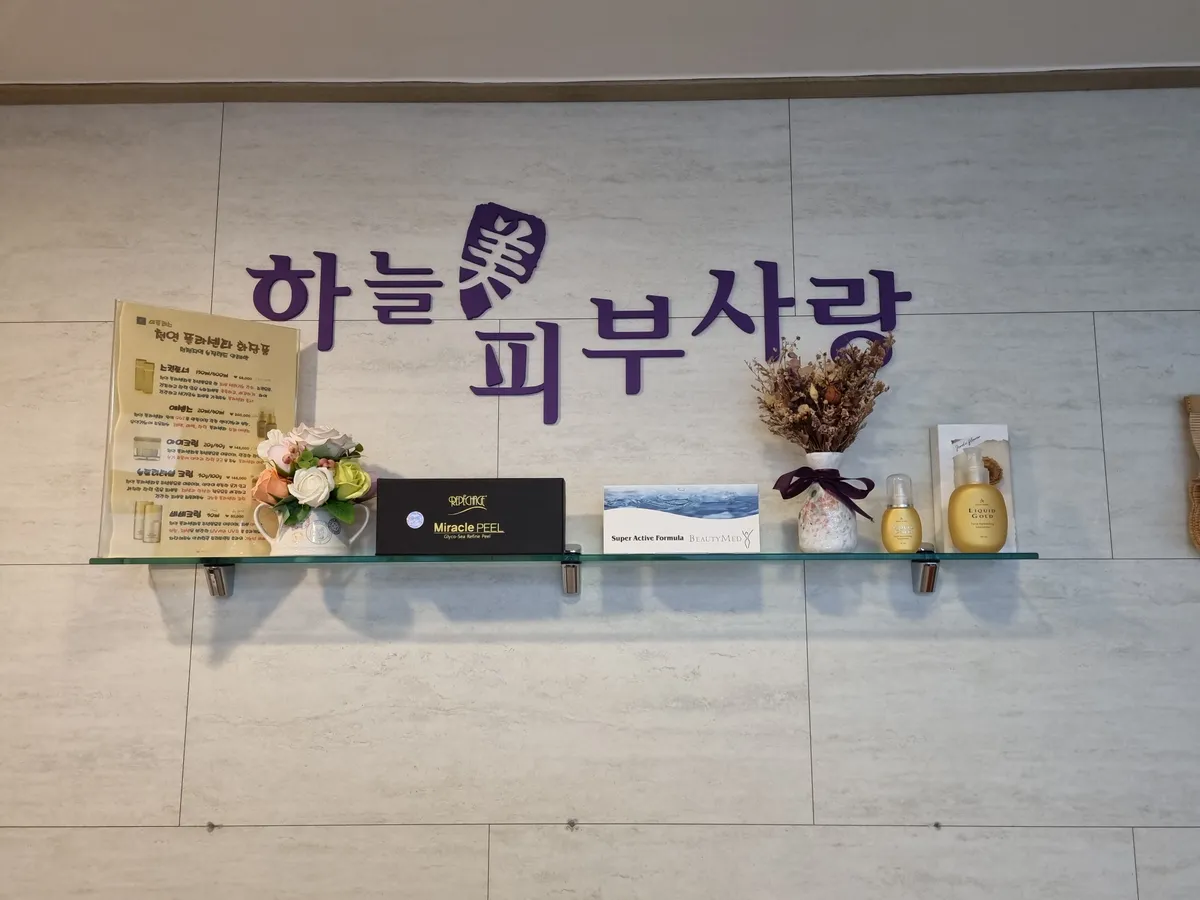 이미지 5