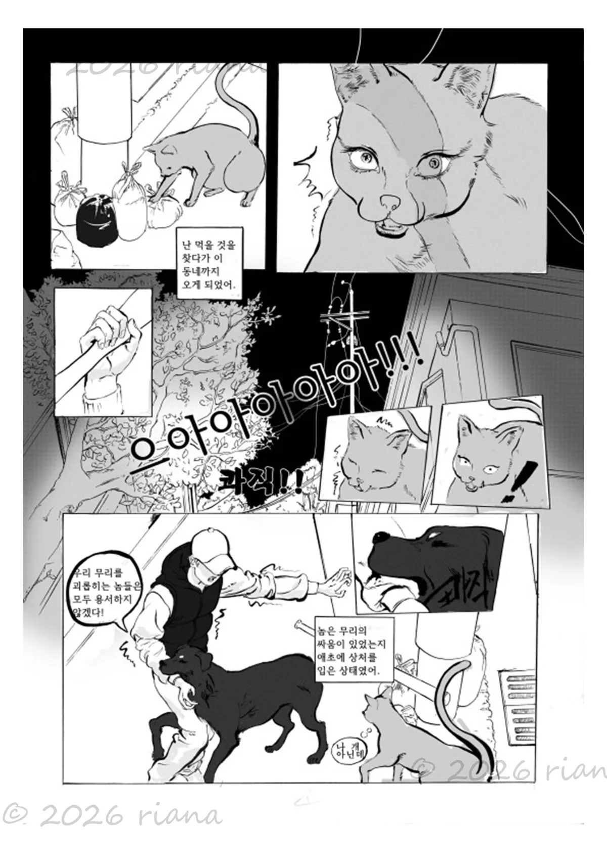 이미지 6