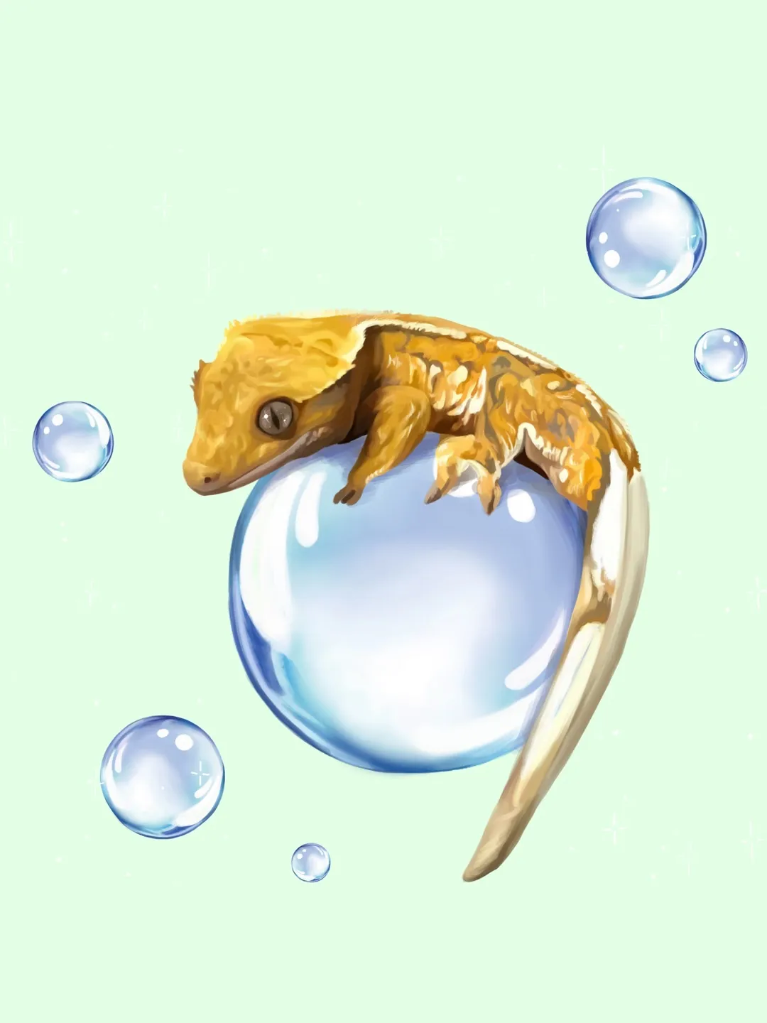 이미지 9