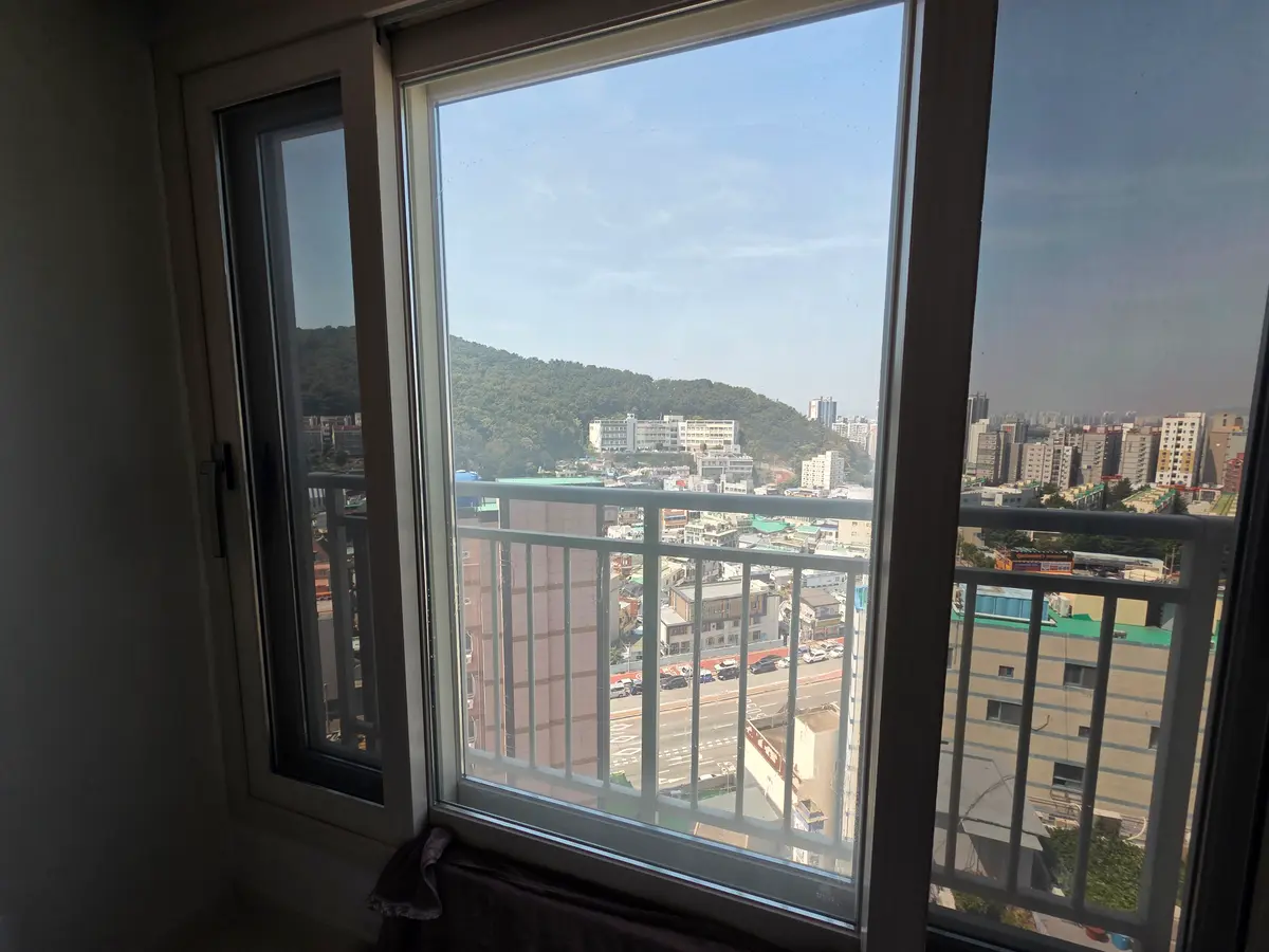 이미지 11
